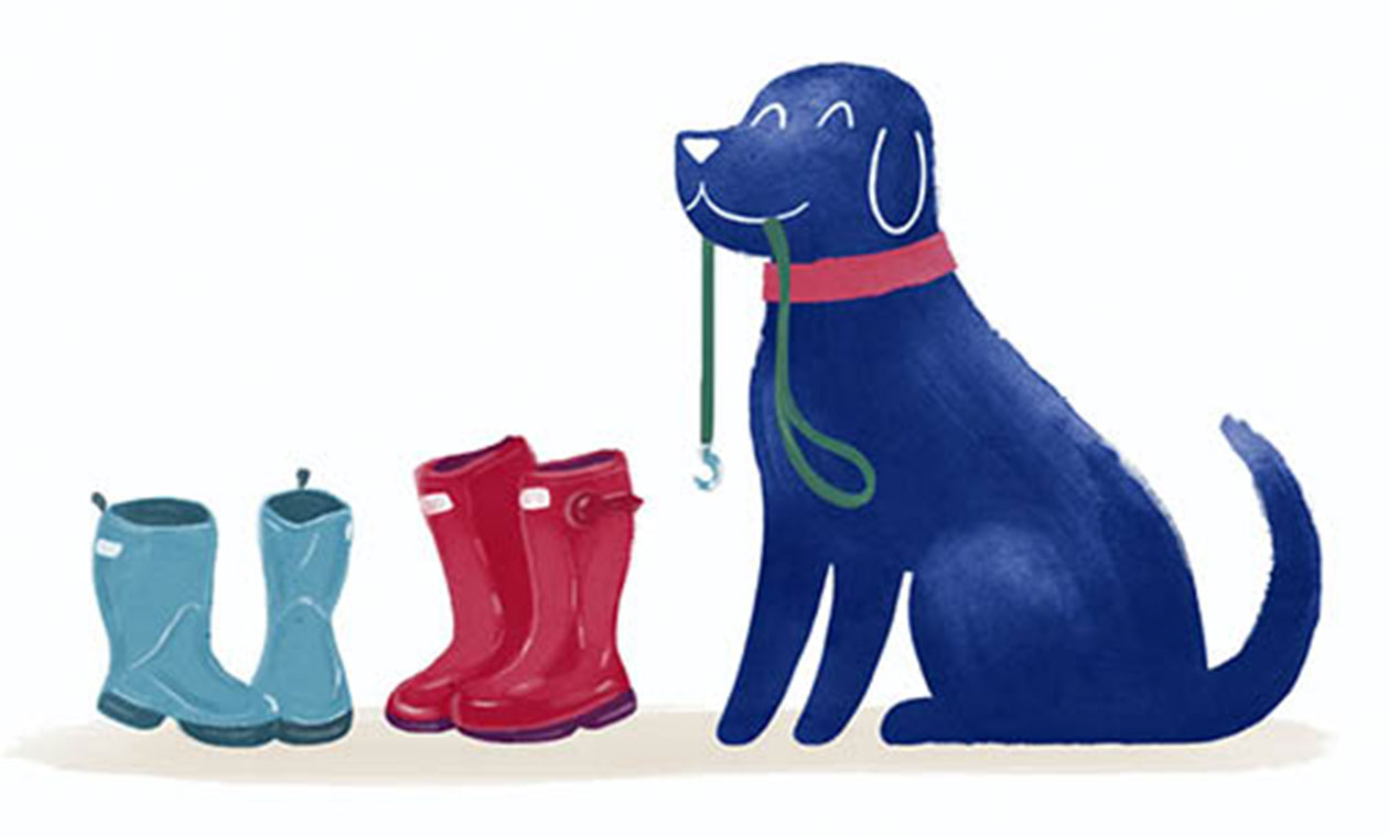Medivet 7